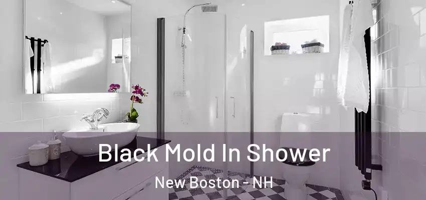 Black Mold In Shower New Boston - NH
