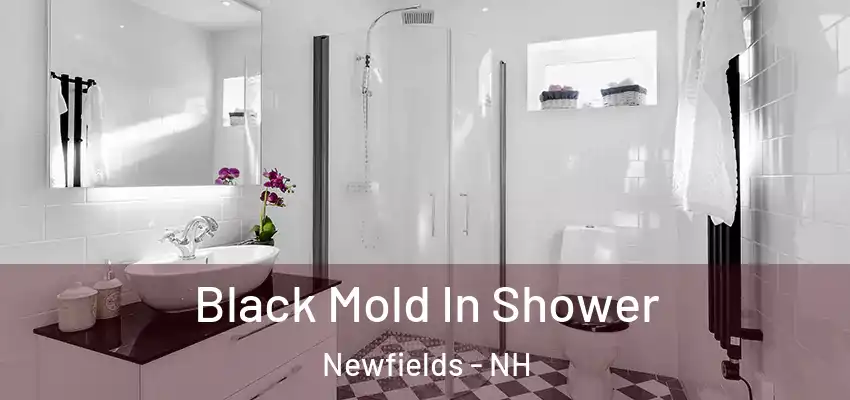  Black Mold In Shower Newfields - NH