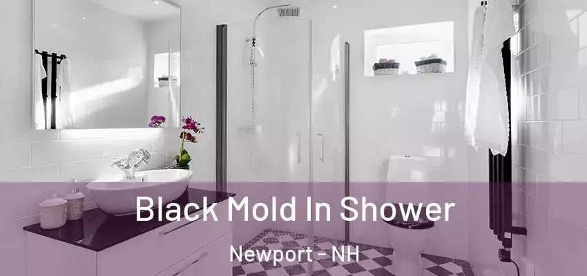 Black Mold In Shower Newport - NH