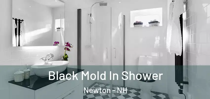 Black Mold In Shower Newton - NH
