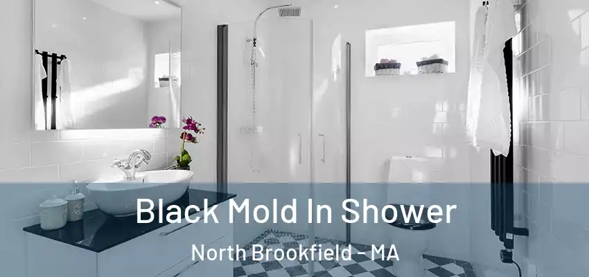 Black Mold In Shower North Brookfield - MA