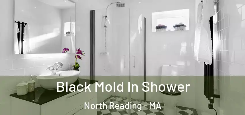 Black Mold In Shower North Reading - MA