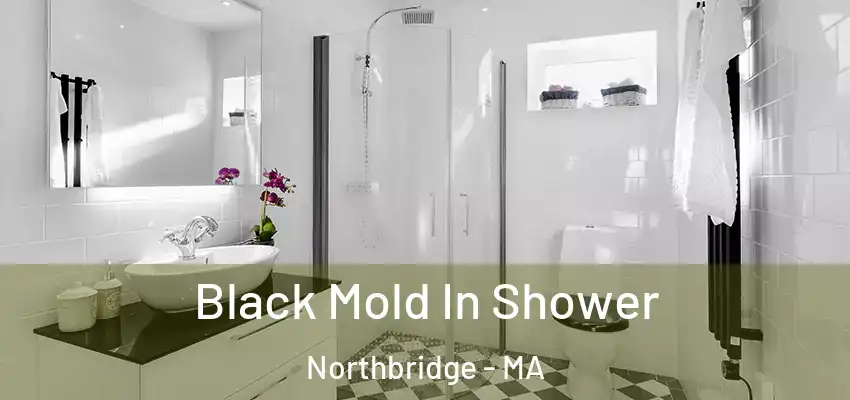  Black Mold In Shower Northbridge - MA