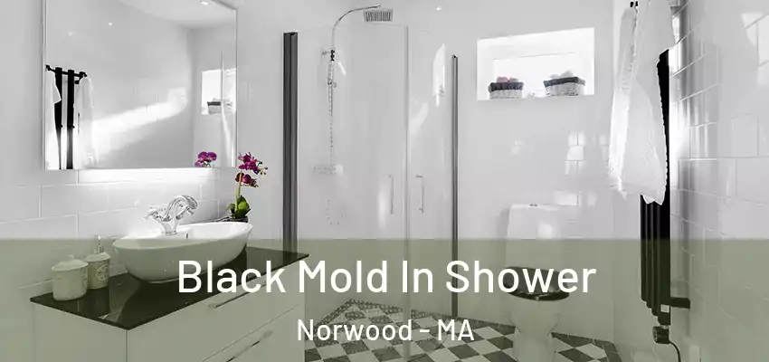  Black Mold In Shower Norwood - MA