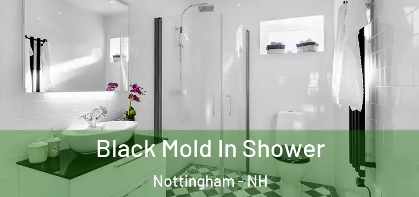 Black Mold In Shower Nottingham - NH