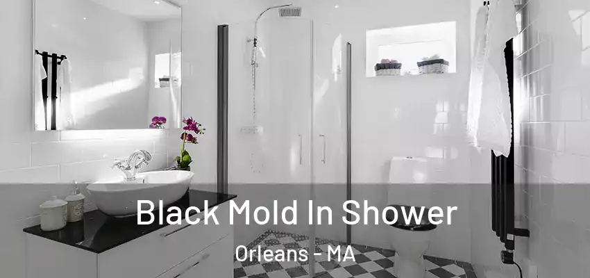 Black Mold In Shower Orleans - MA