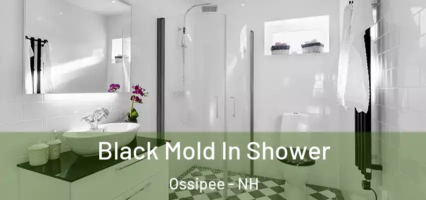  Black Mold In Shower Ossipee - NH