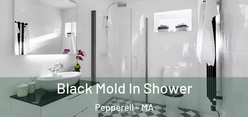  Black Mold In Shower Pepperell - MA