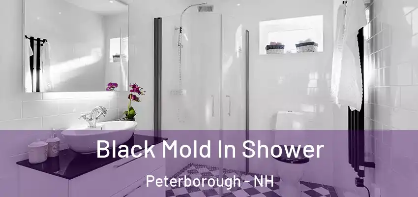 Black Mold In Shower Peterborough - NH
