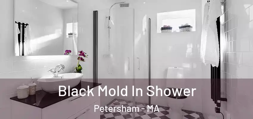 Black Mold In Shower Petersham - MA