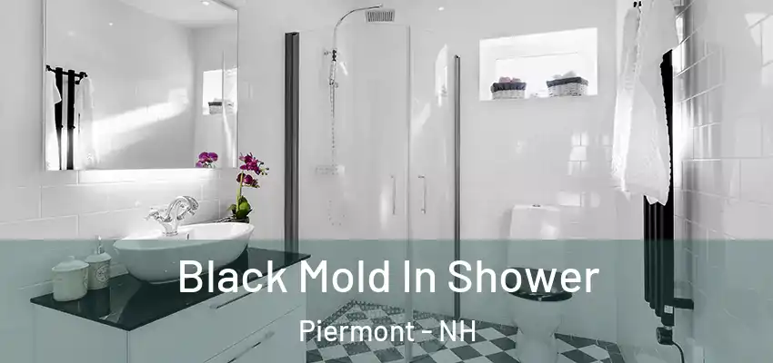 Black Mold In Shower Piermont - NH