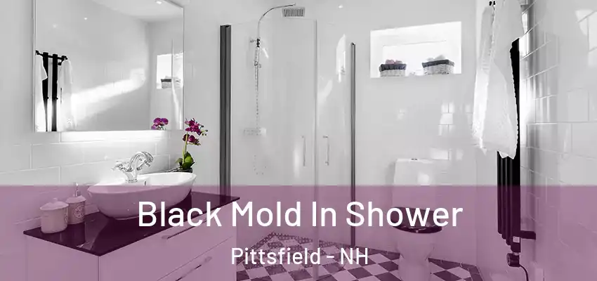 Black Mold In Shower Pittsfield - NH