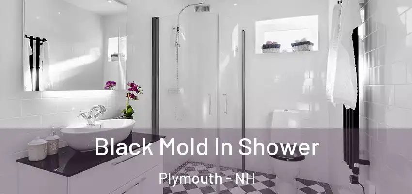  Black Mold In Shower Plymouth - NH