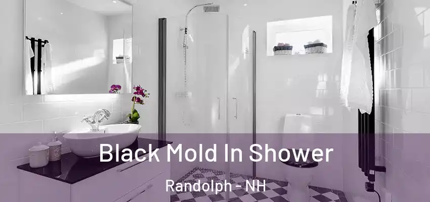 Black Mold In Shower Randolph - NH