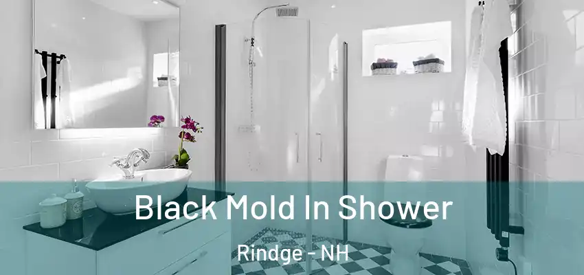 Black Mold In Shower Rindge - NH