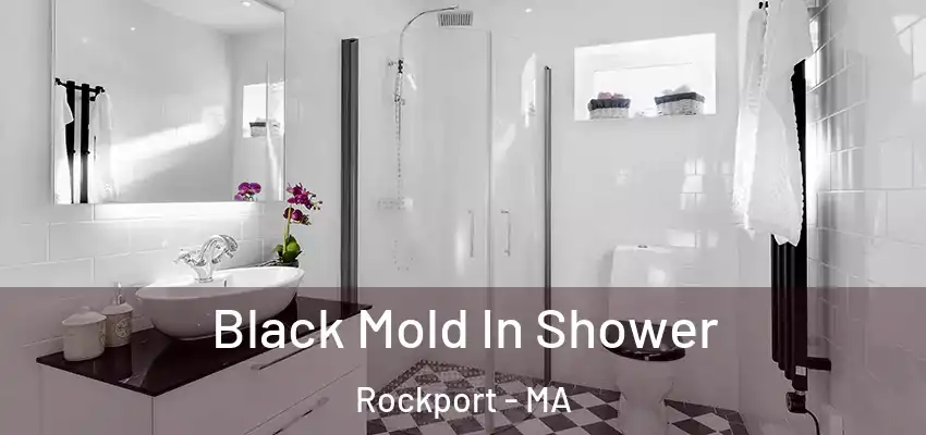  Black Mold In Shower Rockport - MA