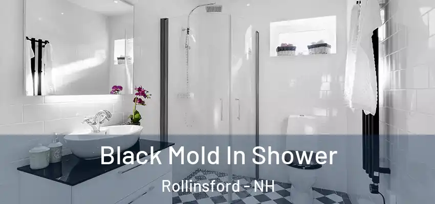  Black Mold In Shower Rollinsford - NH