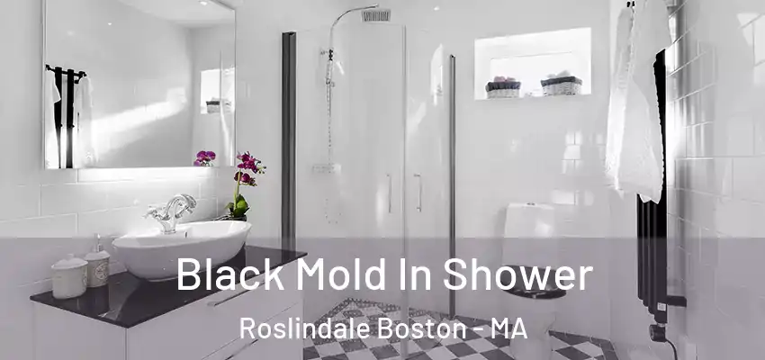 Black Mold In Shower Roslindale Boston - MA