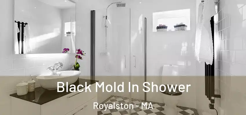 Black Mold In Shower Royalston - MA