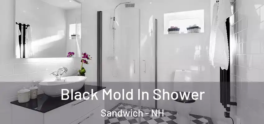 Black Mold In Shower Sandwich - NH