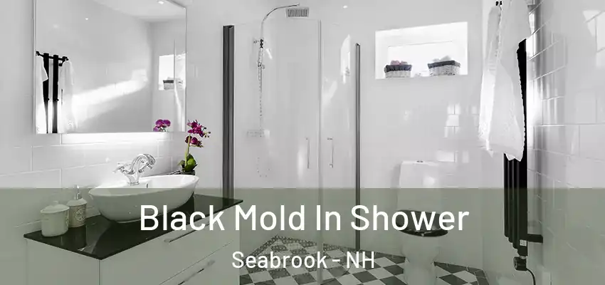  Black Mold In Shower Seabrook - NH