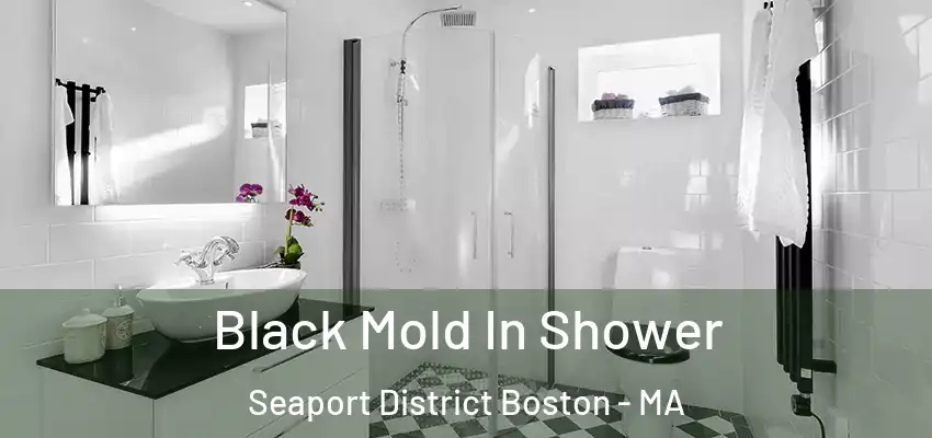 Black Mold In Shower Seaport District Boston - MA