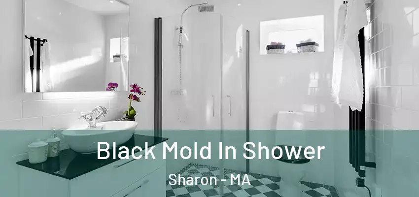  Black Mold In Shower Sharon - MA