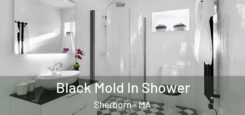 Black Mold In Shower Sherborn - MA