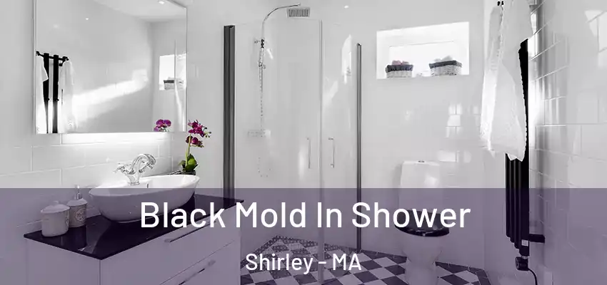 Black Mold In Shower Shirley - MA