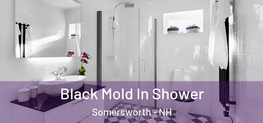Black Mold In Shower Somersworth - NH