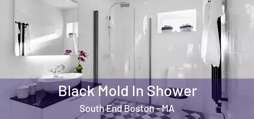 Black Mold In Shower South End Boston - MA