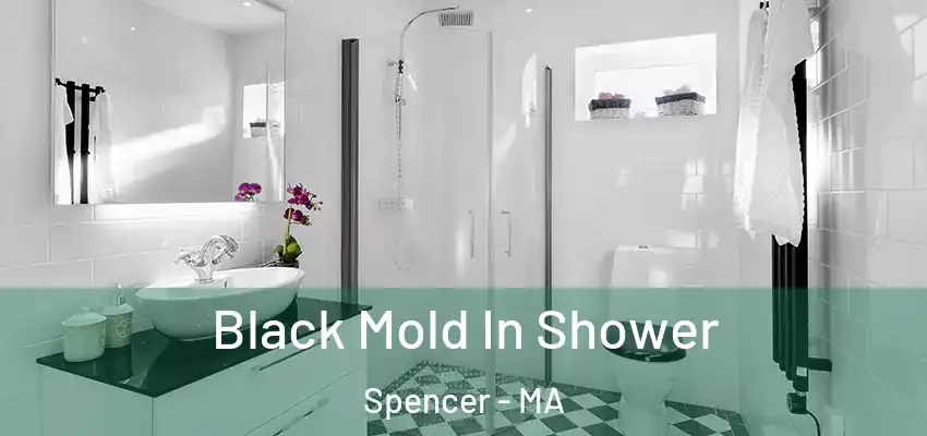 Black Mold In Shower Spencer - MA