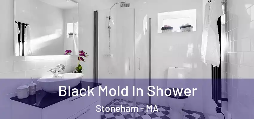 Black Mold In Shower Stoneham - MA