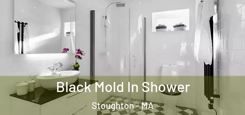  Black Mold In Shower Stoughton - MA