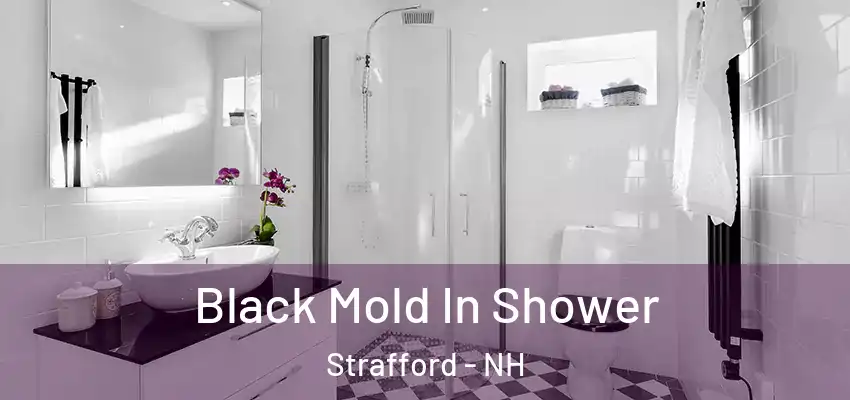Black Mold In Shower Strafford - NH