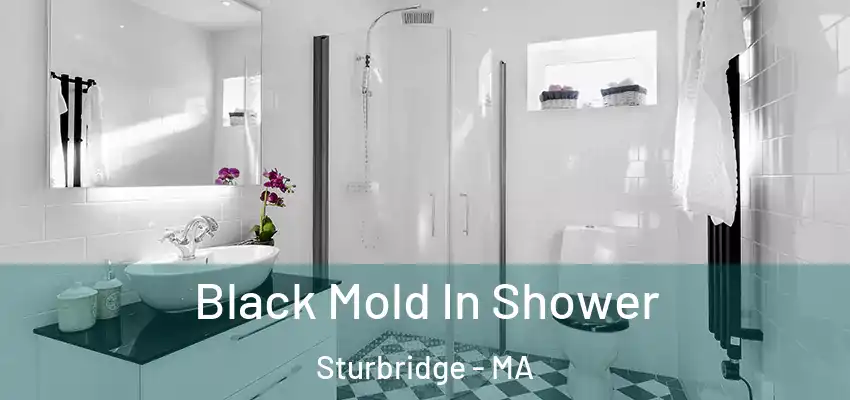 Black Mold In Shower Sturbridge - MA