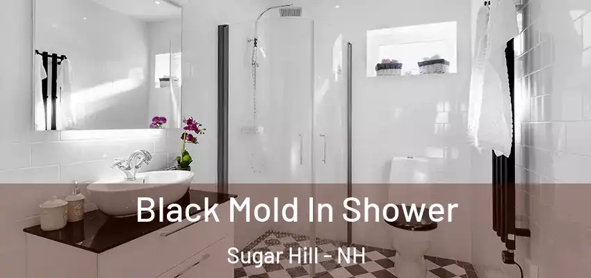 Black Mold In Shower Sugar Hill - NH