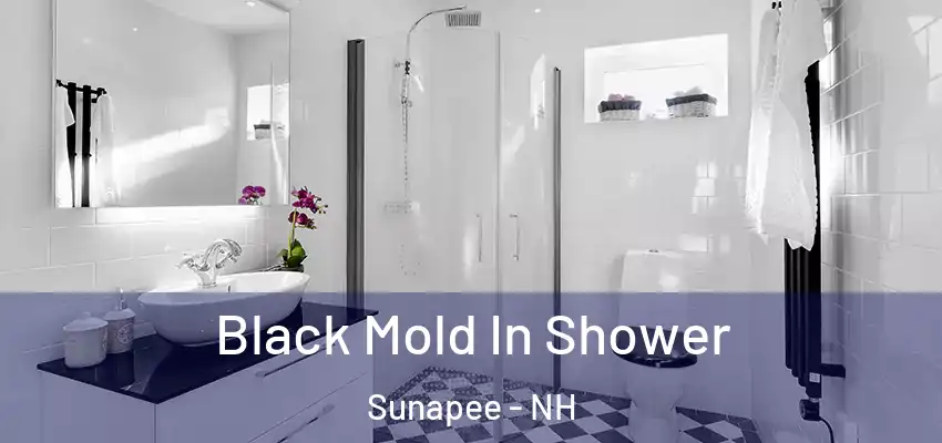 Black Mold In Shower Sunapee - NH