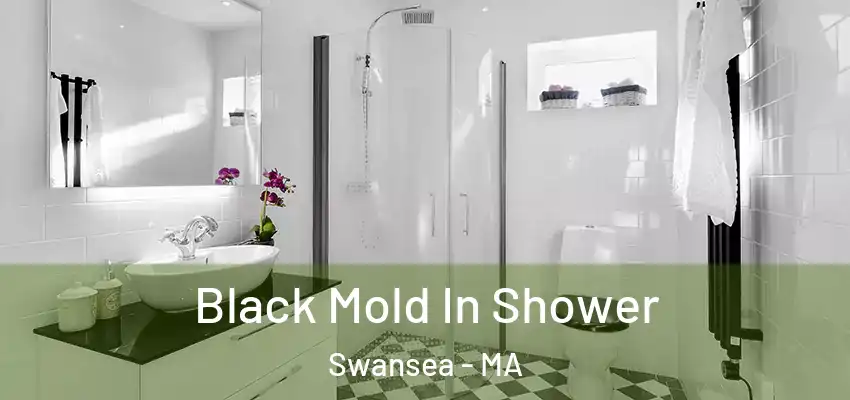 Black Mold In Shower Swansea - MA