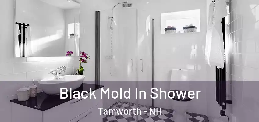  Black Mold In Shower Tamworth - NH