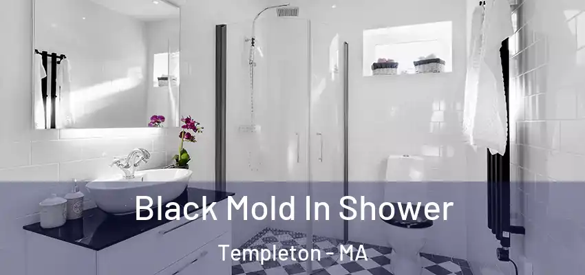 Black Mold In Shower Templeton - MA