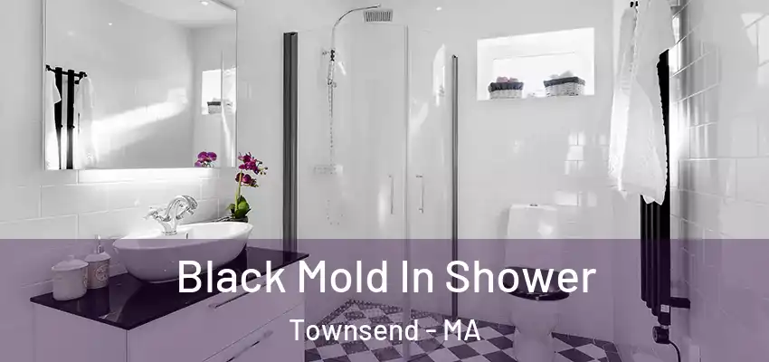 Black Mold In Shower Townsend - MA