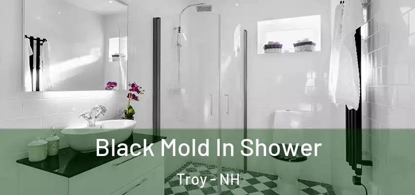 Black Mold In Shower Troy - NH