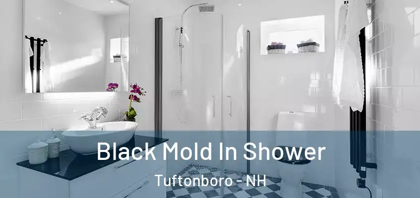  Black Mold In Shower Tuftonboro - NH