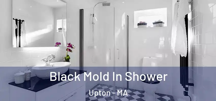 Black Mold In Shower Upton - MA