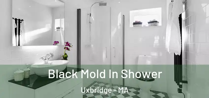 Black Mold In Shower Uxbridge - MA