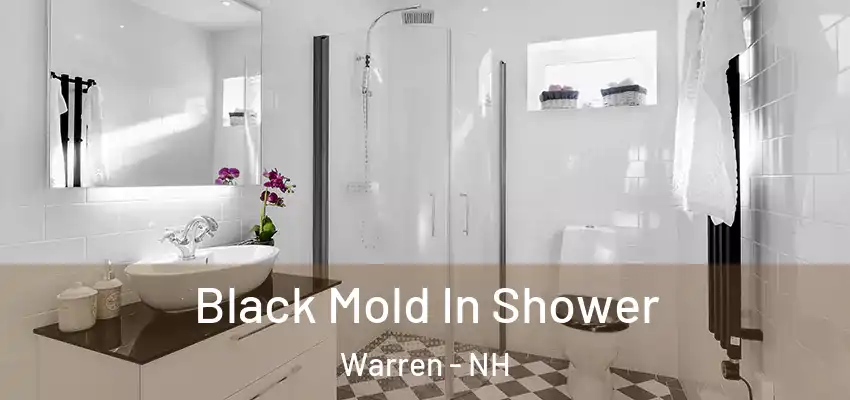 Black Mold In Shower Warren - NH