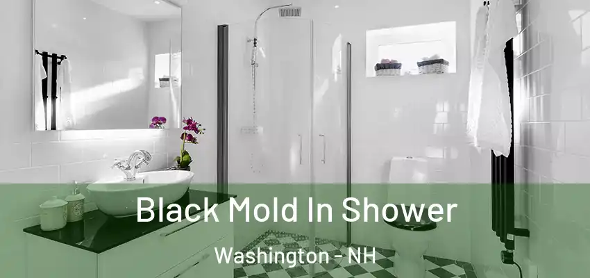  Black Mold In Shower Washington - NH