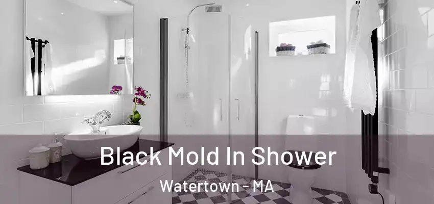  Black Mold In Shower Watertown - MA