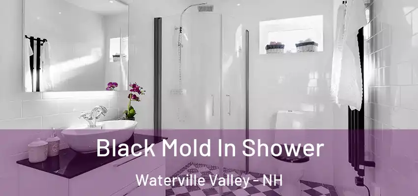  Black Mold In Shower Waterville Valley - NH